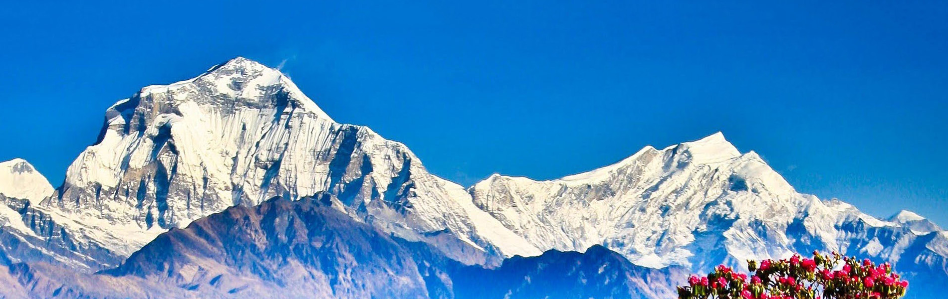 Ghorepani Poonhill Trek