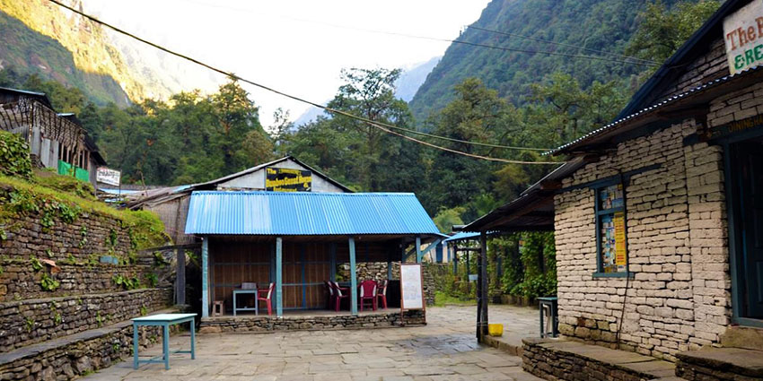 Trek to Bamboo from Annapurna Base Camp